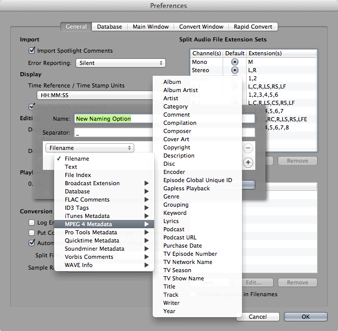 Advanced Namaing On Export